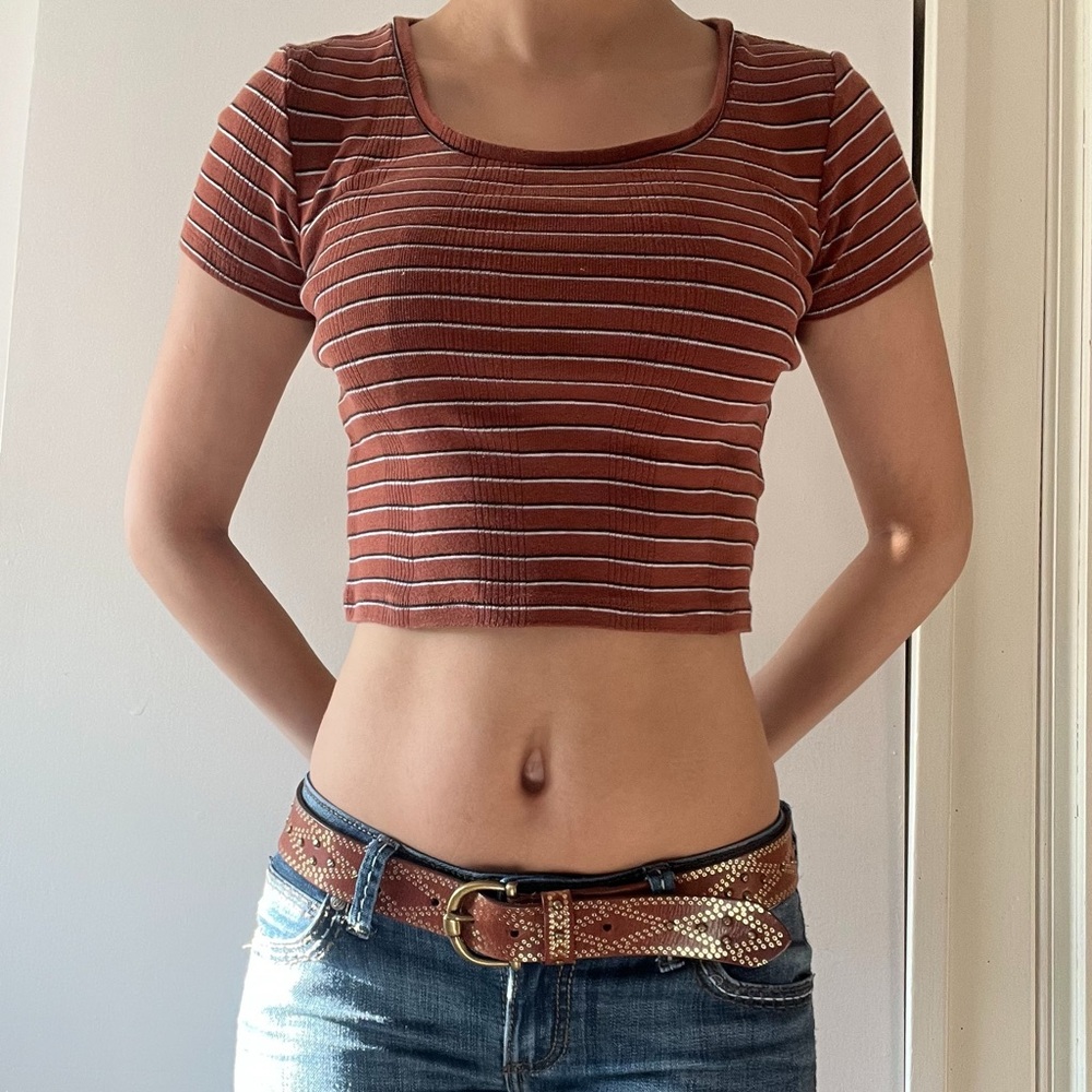 Striped Rust Crop Top